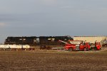 NS 8183 7689